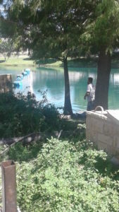 DFW Pond Cleaning